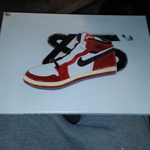 Custome AJ1 1985 Chicago Jordan canvas painting.